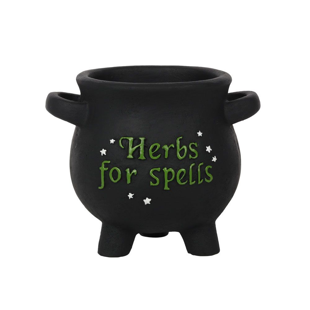 Small Herbs For Spells Cauldron Plant Pot