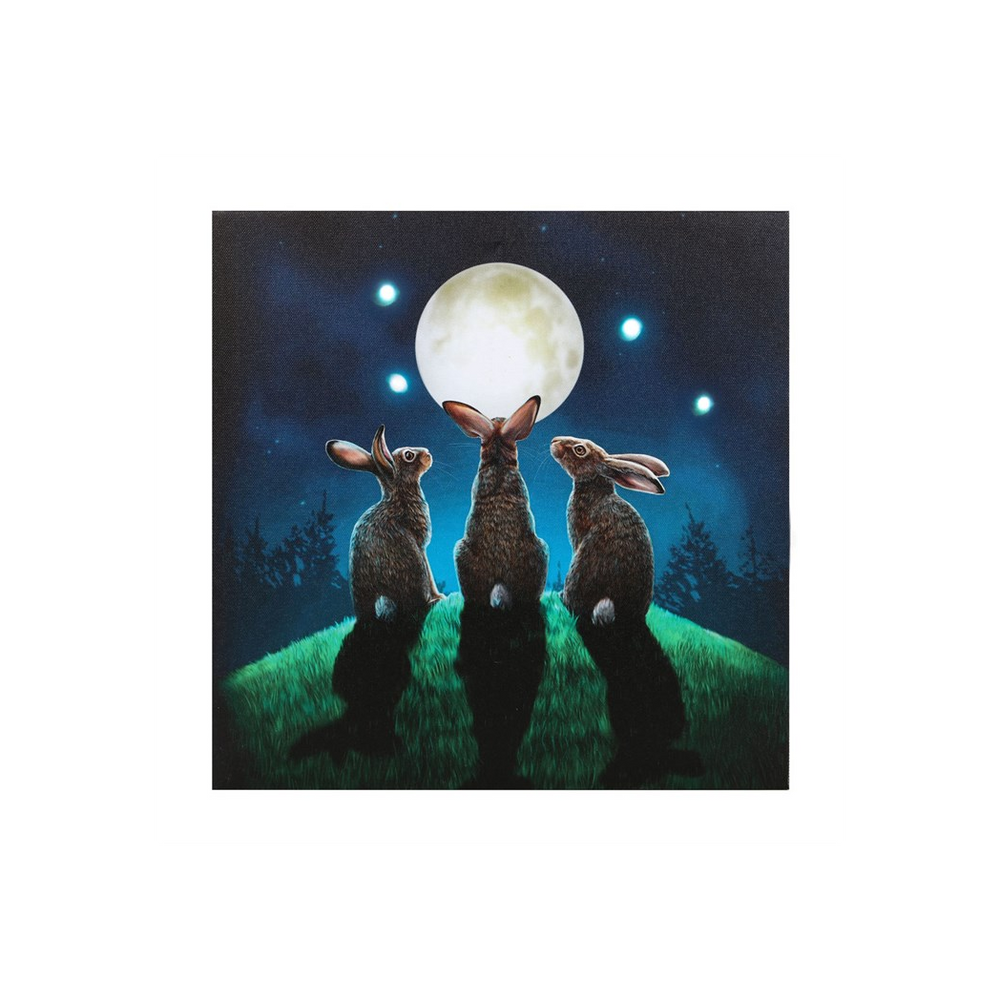 Moon Shadows Light Up Canvas Plaque by Lisa Parker