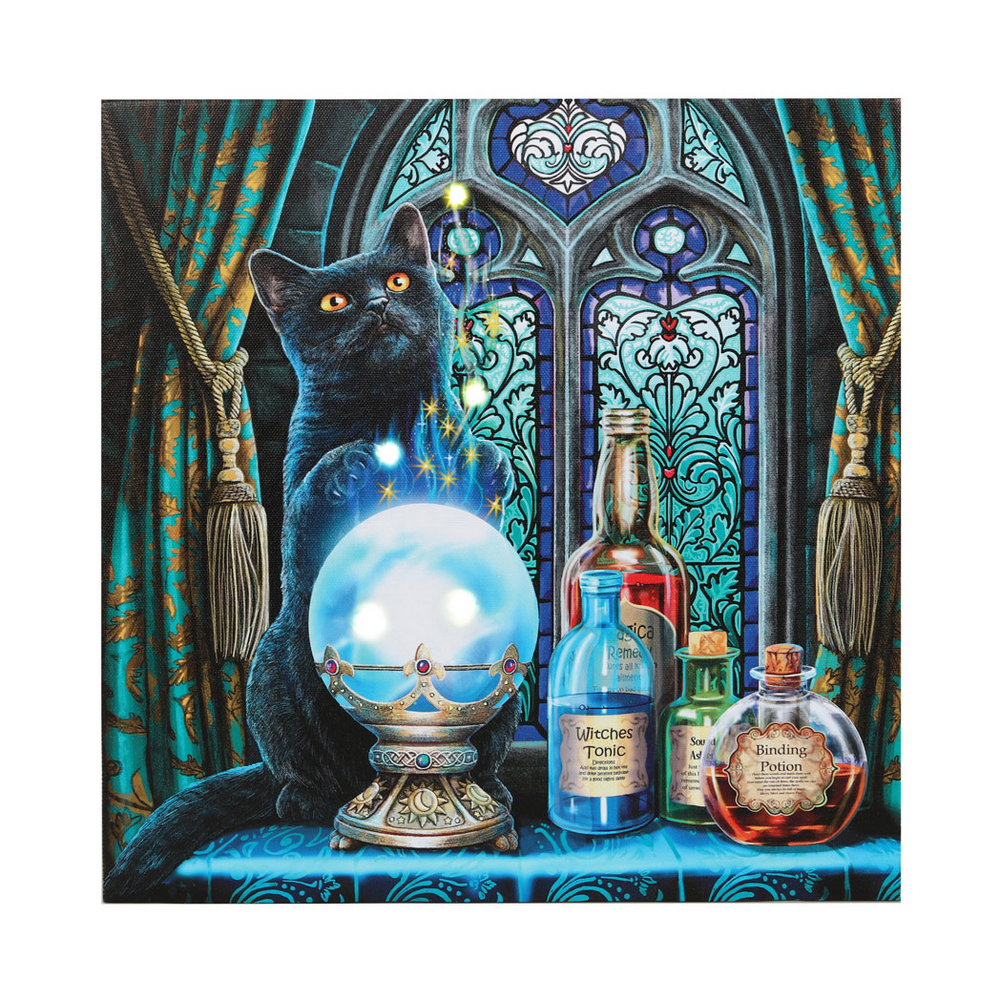 The Witches Apprentice Light Up Canvas Plaque by Lisa Parker