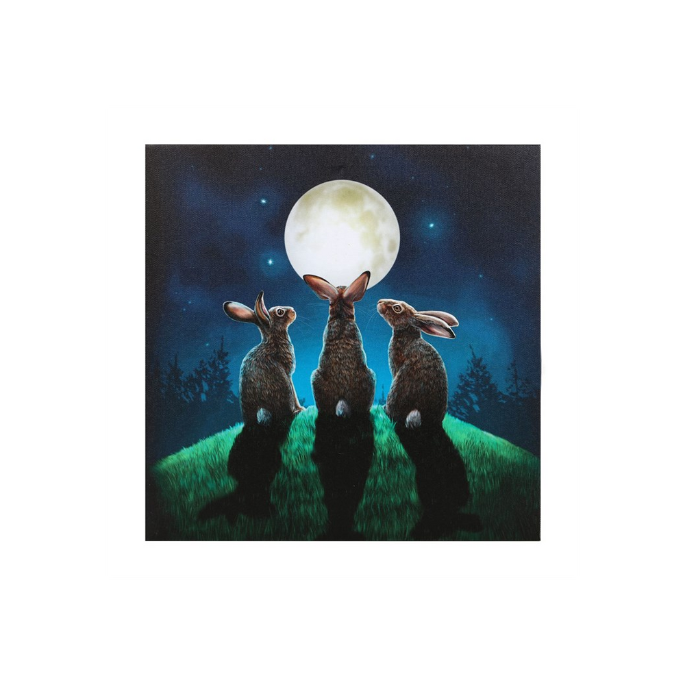 Moon Shadows Light Up Canvas Plaque by Lisa Parker