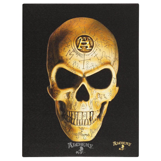 Omega Skull Canvas Plaque by Alchemy