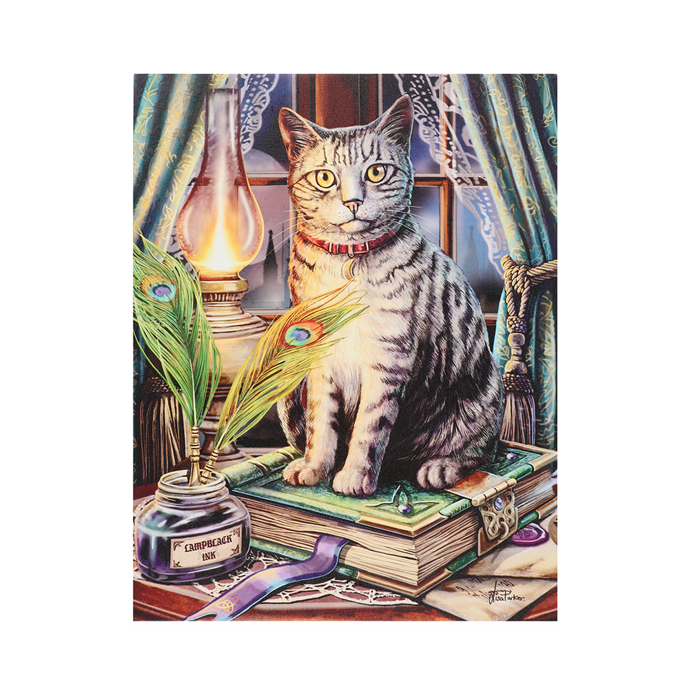 Book of Shadow Canvas Plaque by Lisa Parker