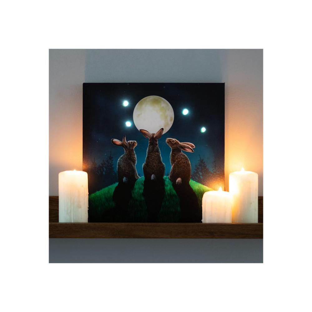 Moon Shadows Light Up Canvas Plaque by Lisa Parker